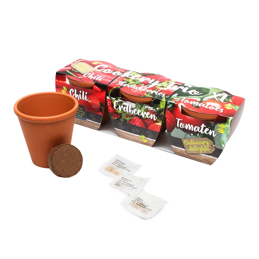 Growing kit herbs